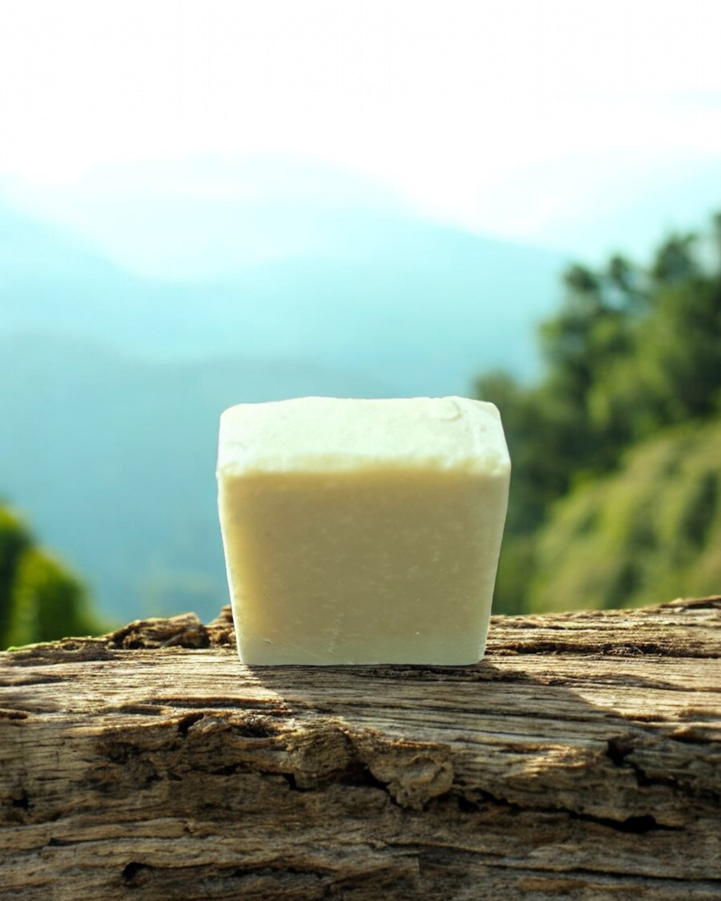 Non Scented Tallow Soap Bar