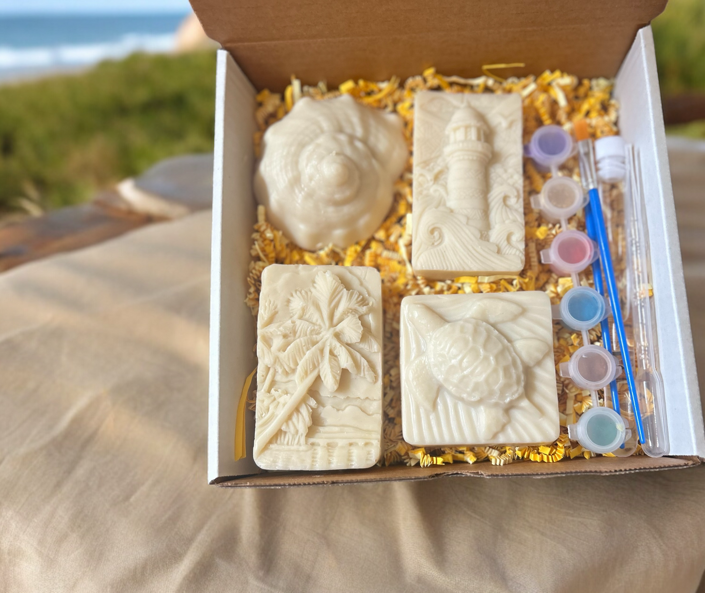 Beach Soap Painting Kit