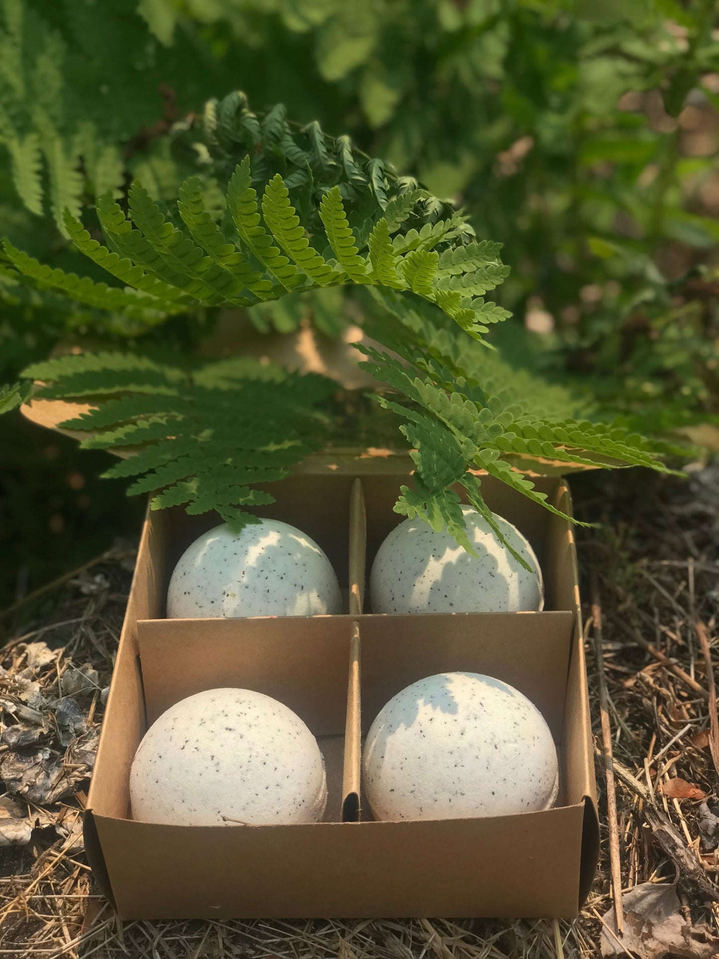 Set of 4 Earl Grey Bath Bombs