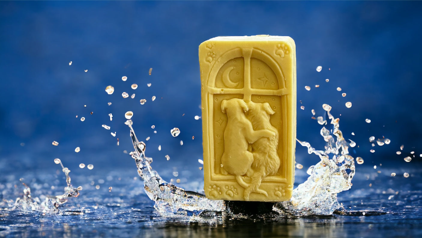 Best Friends Forever