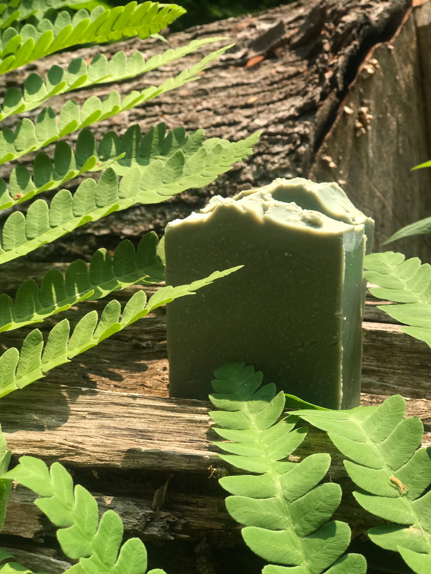 Unscented Aloe Shea Butter Soap Bar