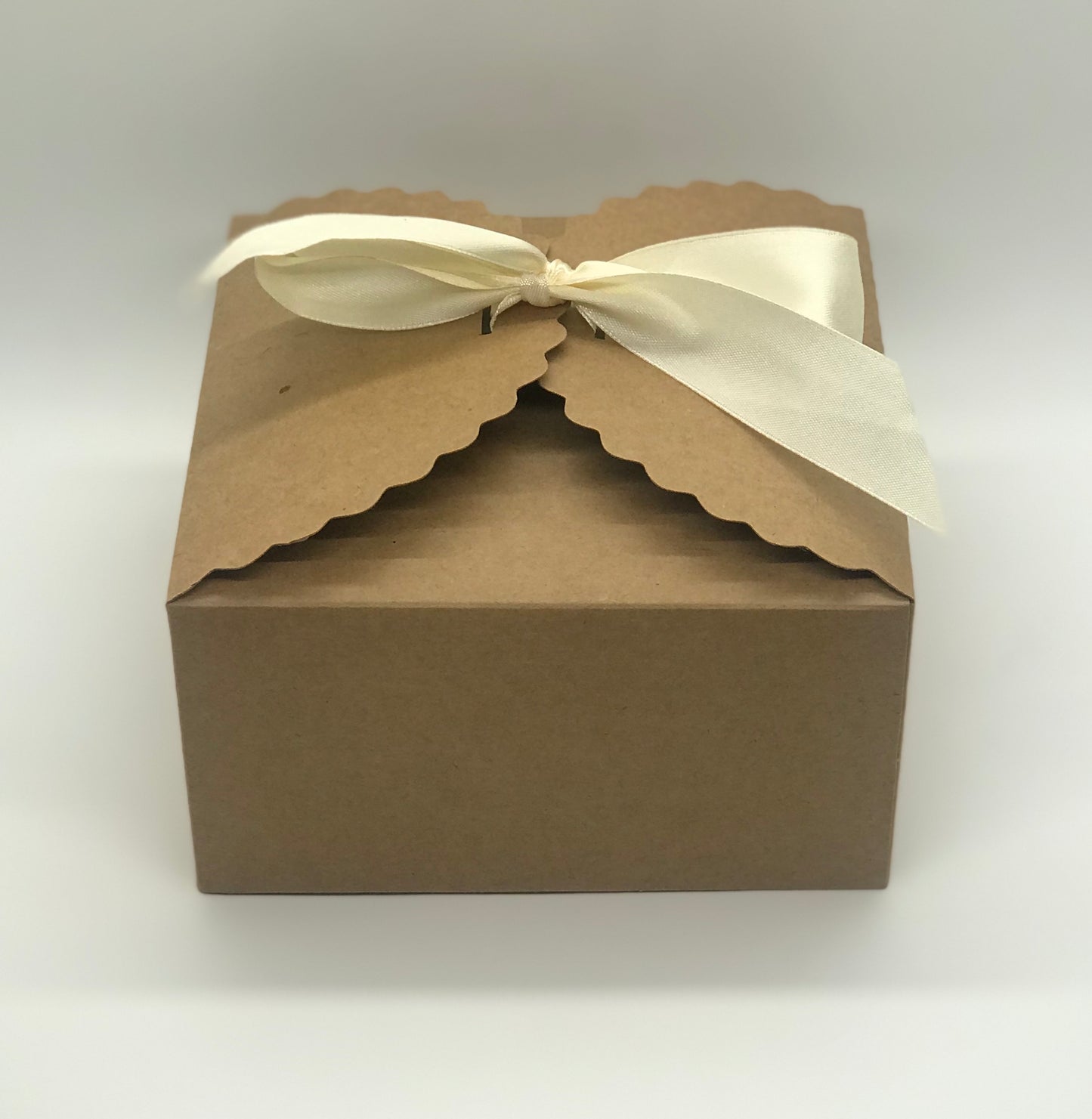 Sea Shells by the Ocean