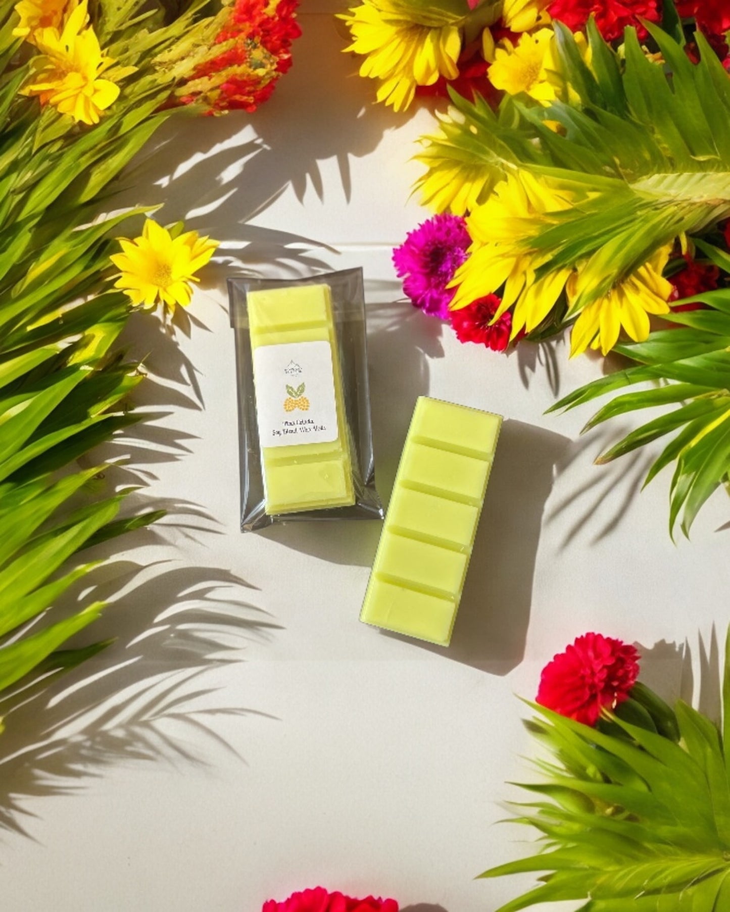 Pina Colada Wax Melts