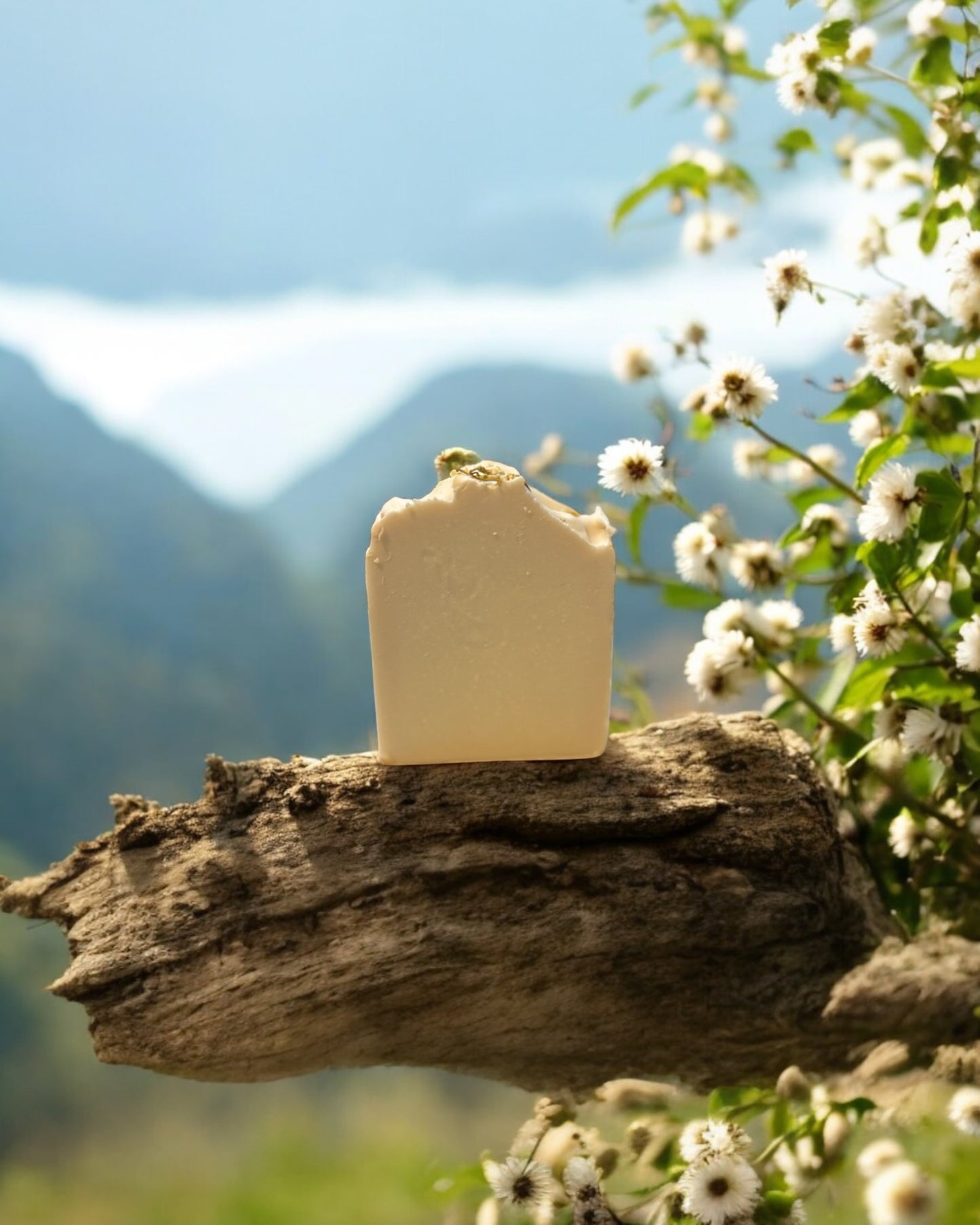 White Jasmine Shea Butter Soap