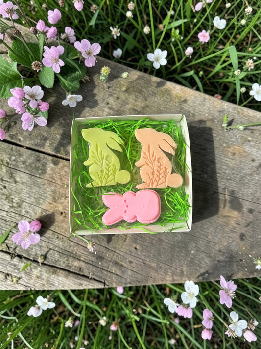 Bunny Hop Bath Time Gift Box