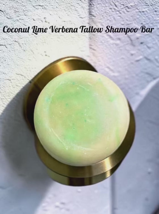 Coconut Lime Verbena Luxury Shampoo Bar
